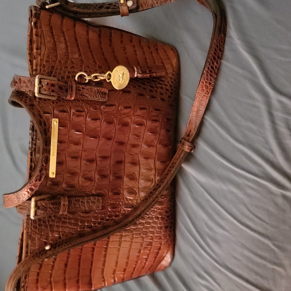 Brahmin Mini Asher